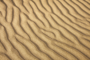 Gold desert into the sunset. Sand texture.