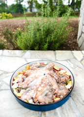 Preparing and Cooking of octopus in traditional Balkan Greek Med