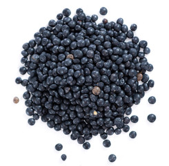 Black Lentils (isolated on white)