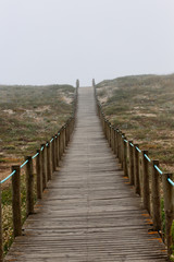 Fototapeta premium Sea dune walkway