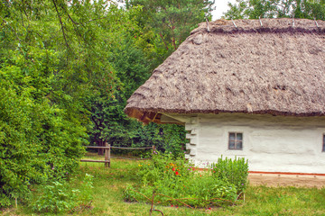 Fototapeta na wymiar Ukrainian wooden hut thatched