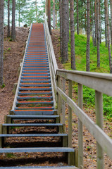 Fototapeta na wymiar Upward stairway with railing in coniferous wood, part of hiking trail