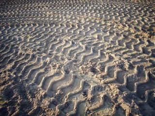 Wheel tracks on the soil.