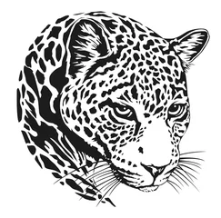 Foto op Plexiglas jaguar head lineart © satoriartworkco
