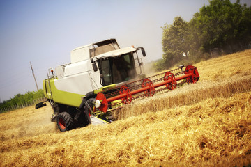 Obraz premium Combine harvester working in the field