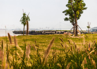 Obraz premium Park in jiangyin