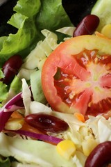 Fresh salad