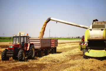 Combine harvester and tractor working in the field
