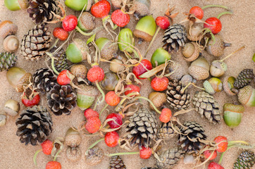 fall still life composition