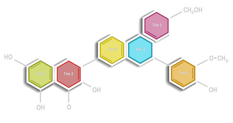Hexagonal organic chemistry formula infographic chart vektor