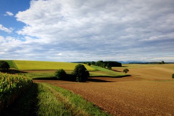 Hügellandschaft im Spätsommer 