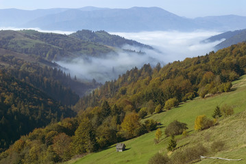 Fototapeta na wymiar autumn landscape with mist