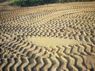 Wheel tracks on the soil.