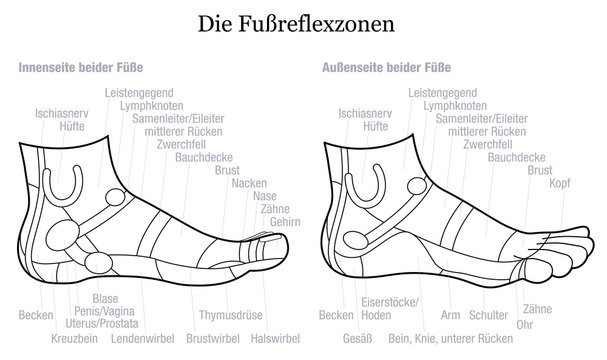 Foot reflexology chart - inside and outside view of the feet - with description of corresponding internal organs and body parts in GERMAN LANGUAGE. Outline vector illustration on white background.