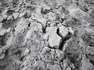 Cracked dry soil