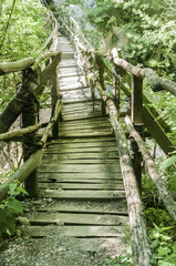 Rustic wooden bridge