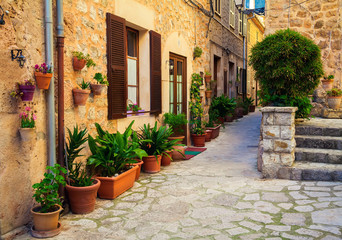 Fototapeta na wymiar typical street with flower pots in Valldemossa