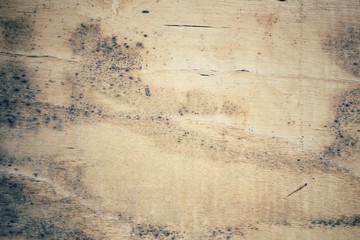 Old wood background