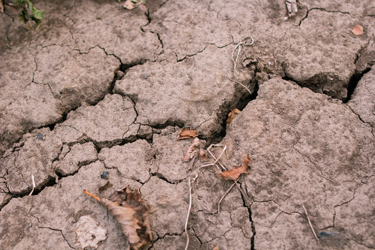 The  cracks in the dry soil.  drought