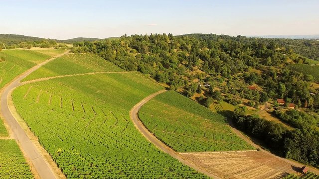 Aerial view of vineyards in Stuttgart, Germany.