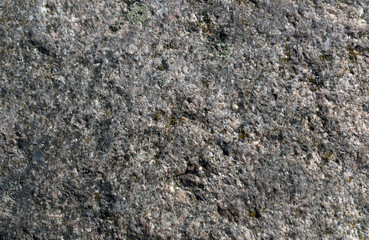 Stone moss structure