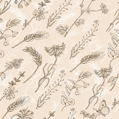 Seamless pattern with wild plants on a beige background
