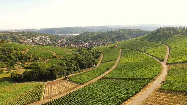 Aerial view of vineyards in Stuttgart, Germany.