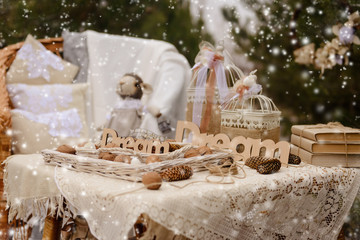 Christmas scenery