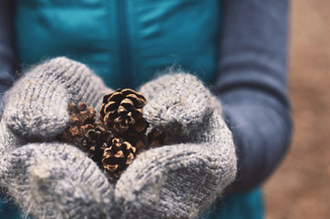 Woman holding pine tree cones in woolen mittens, close up