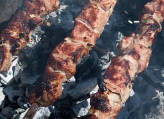 Roasted meat on the coals.