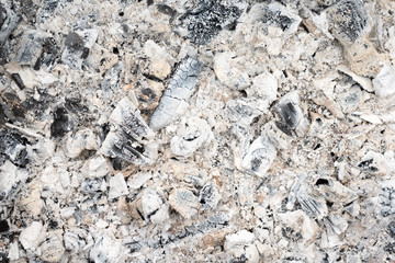 Remains wood coal and ashes after the combustion of firewood