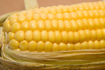 Ripe fruit of corn on a wooden surface