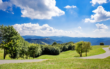 green relaxing landscape