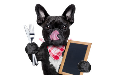 hungry dog  with blackboard