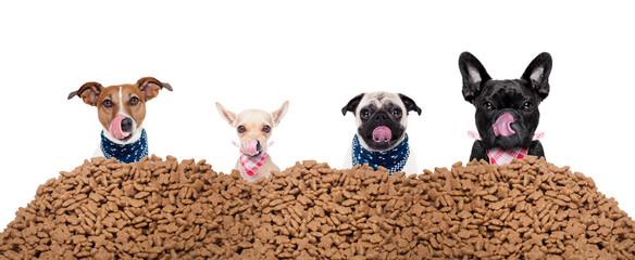 Hungrige Hunde hinter Hundefutter Haufen als Gruppe oder reihe 