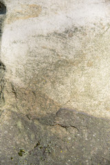 Sandstein