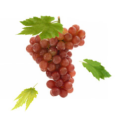 Fresh red grape and leaves suspend on white background
