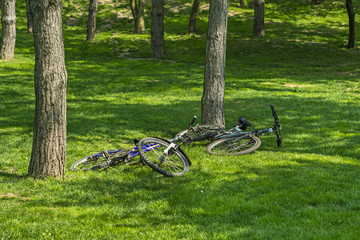 Fototapeta na wymiar Two bicycles in green grgass