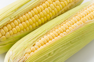 fresh corn on  white background