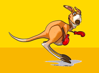 Fun kangaroo © Julien Tromeur