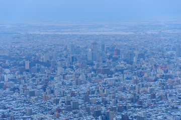 The City of Sapporo, view from Observatory of Mt.Moiwa