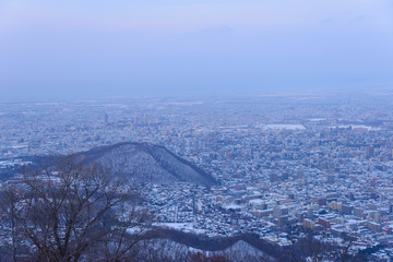 The City of Sapporo, view from Observatory of Mt.Moiwa