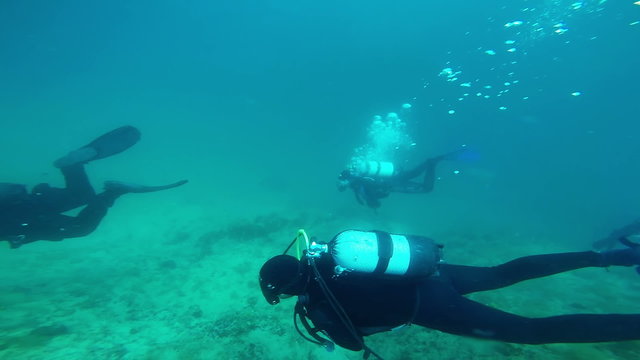 Group Of Scuba Divers Diving Over Ocean Floor
