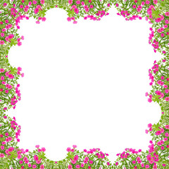 Obraz na płótnie Canvas petunia frame isolated on white background
