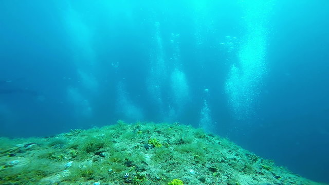 Coral Reef and Large Group of Scuba Divers