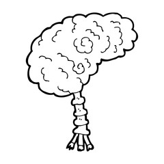 cartoon brain