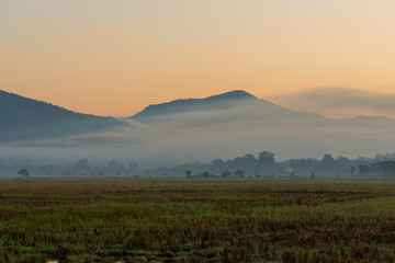 Dawn of the field