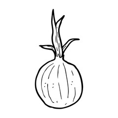 cartoon onion