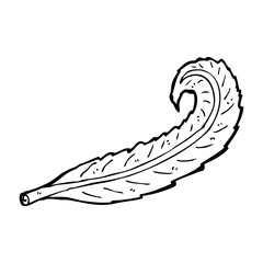 cartoon feather