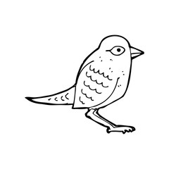 cartoon garden bird